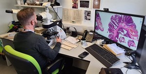 digital pathology digital pathology