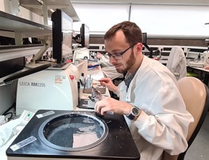 pathology research pathology research